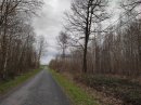 Forêt de Beaumont